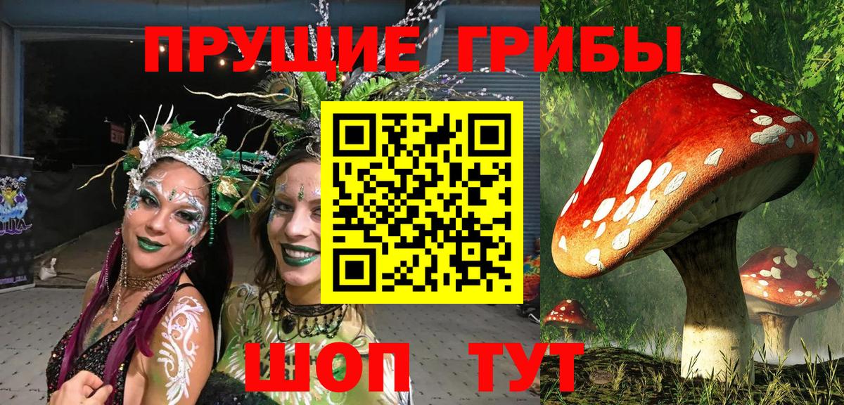 Галлюциногенные грибы Cubensis  Вход с VPN  Богородицк 