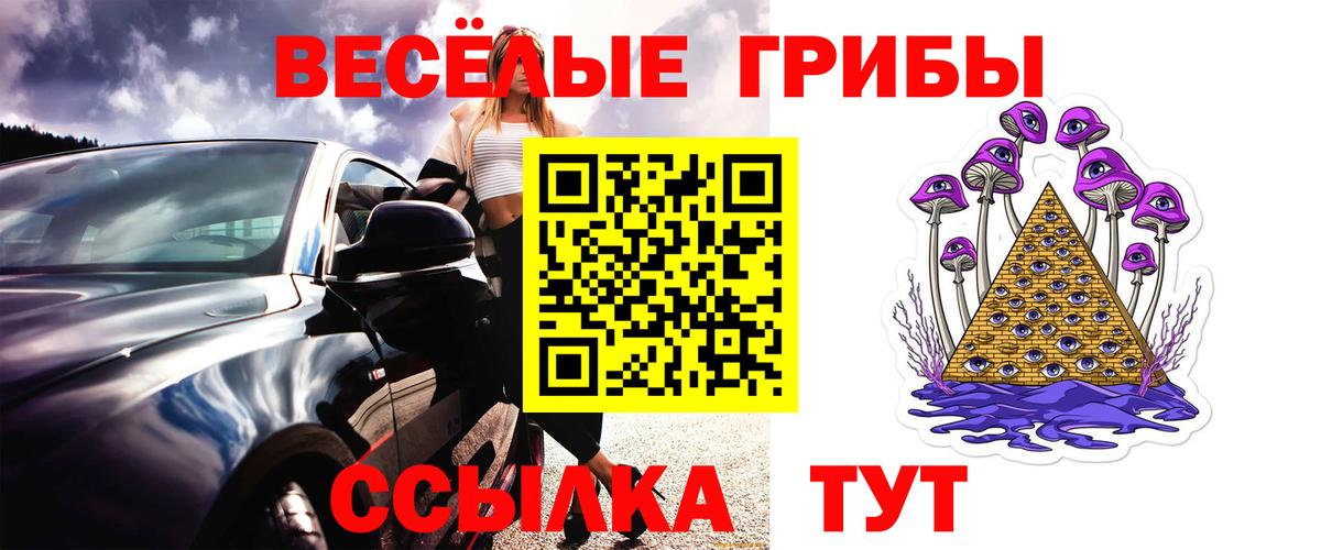 Псилоцибиновые грибы мухоморы Богородицк